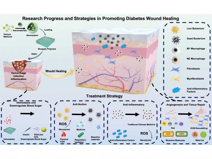 【学术安医】我校本科生在药剂学...
