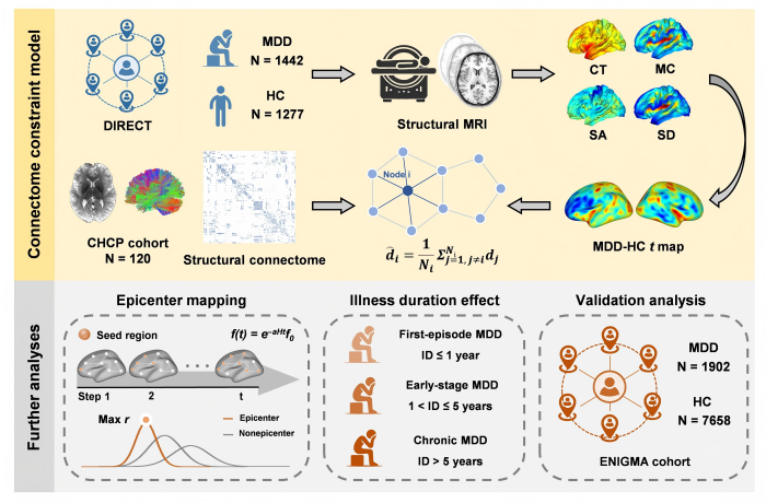 【学术安医】我校余永强教授团队...